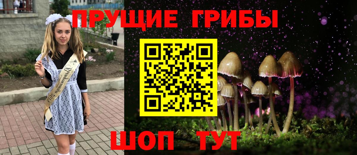Галлюциногенные грибы GOLDEN TEACHER  Вход с VPN  сколько стоит  Абинск 