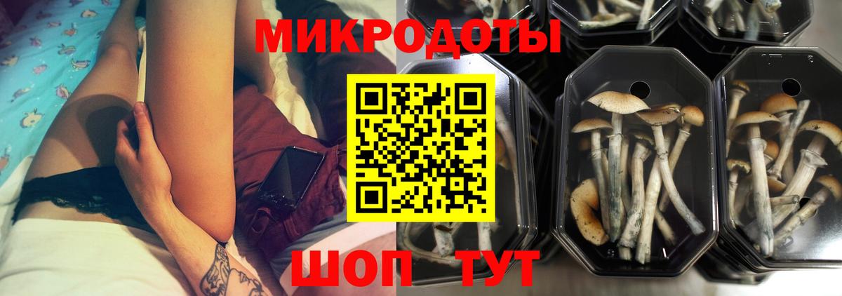 Галлюциногенные грибы GOLDEN TEACHER Абинск